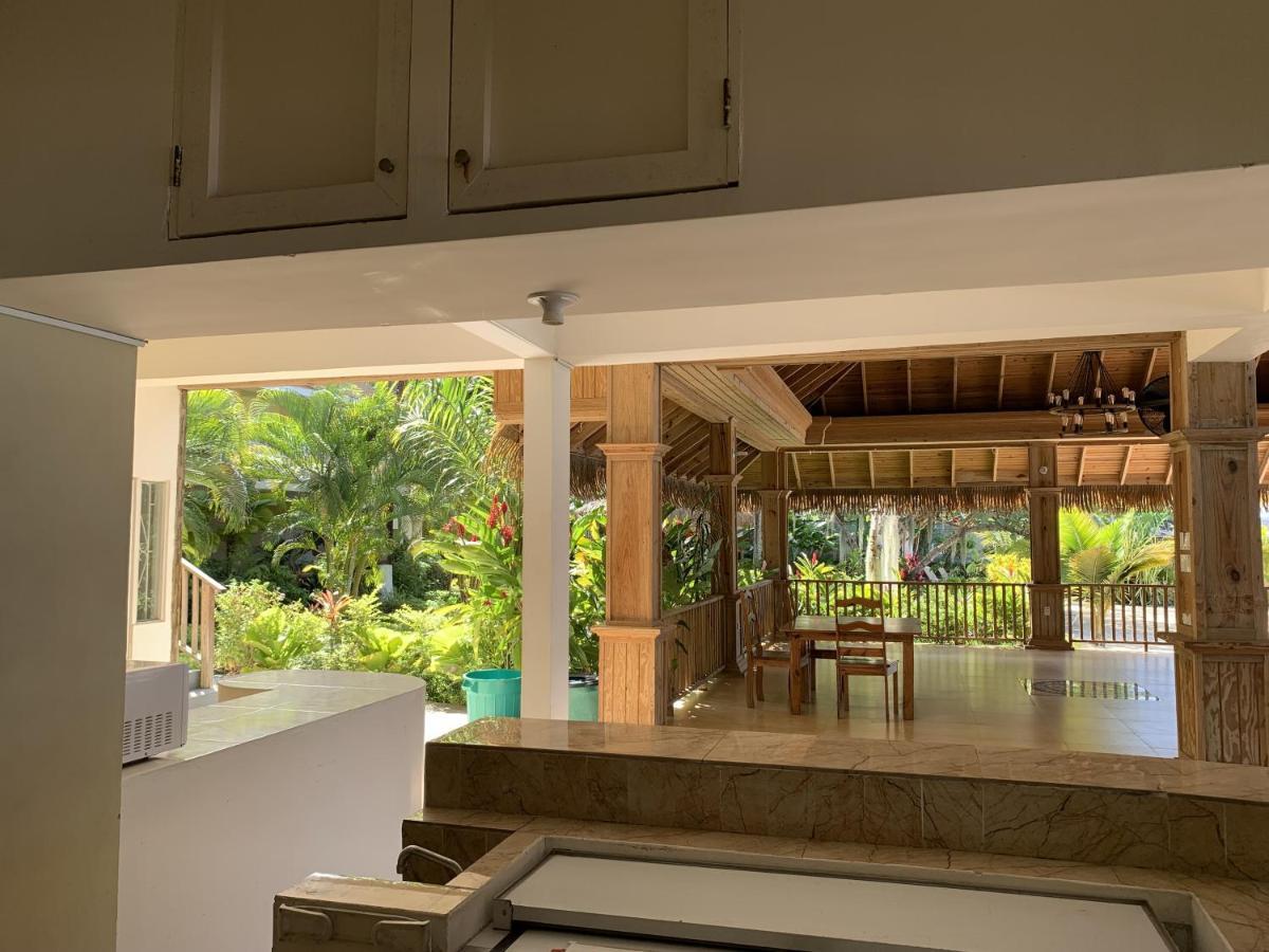 King Suite At Oceanview Resort In Jamaica - Enjoy 7 Miles Of White Sand Beach! Negril Eksteriør billede